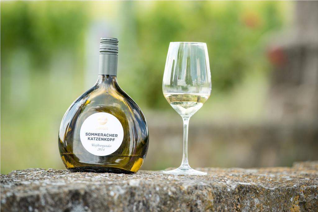 Gasthof Zum Weissen Lamm Sommerach Ngoại thất bức ảnh